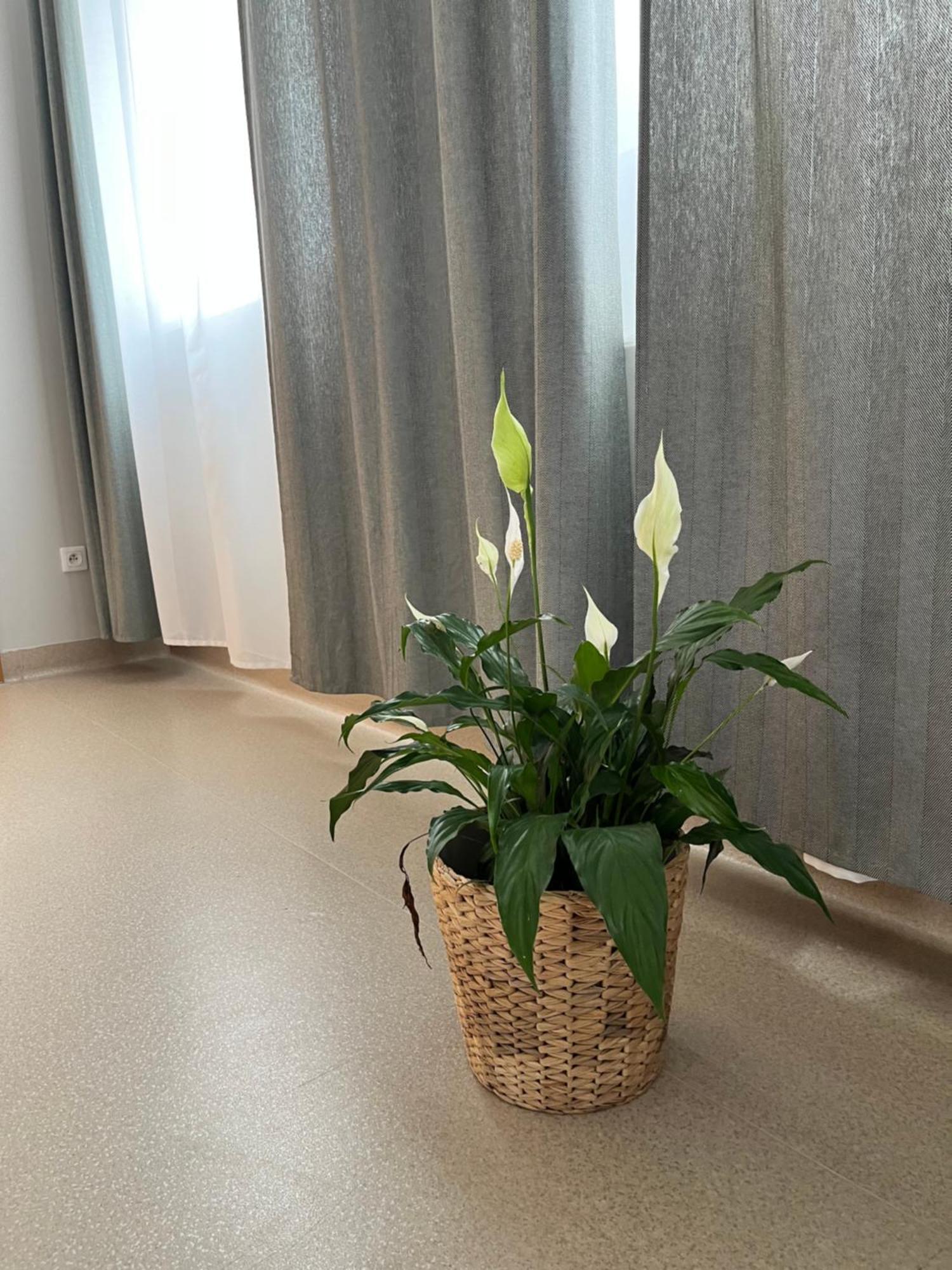 Osrodek Konferencyjno-Wypoczynkowy Hostel Chojna Kültér fotó